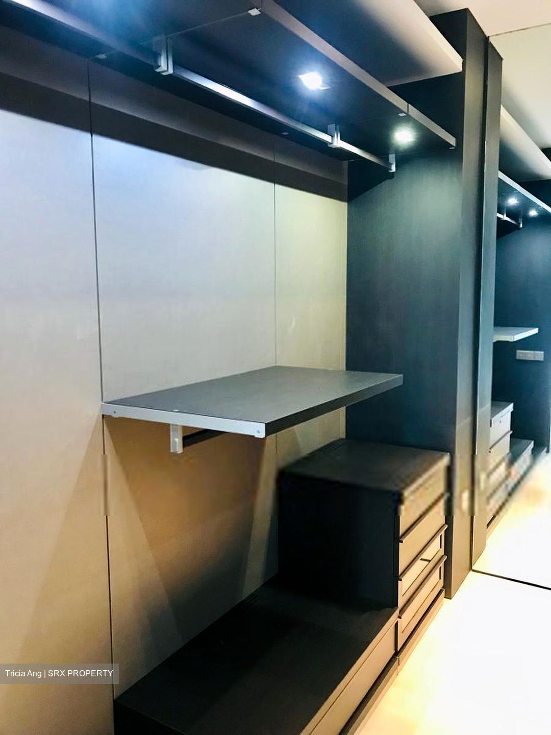 The Marq On Paterson Hill (D9), Condominium #301797511